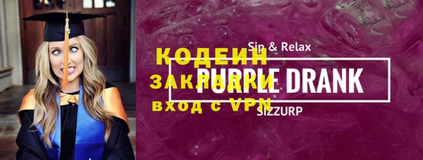 хмурый Ельня