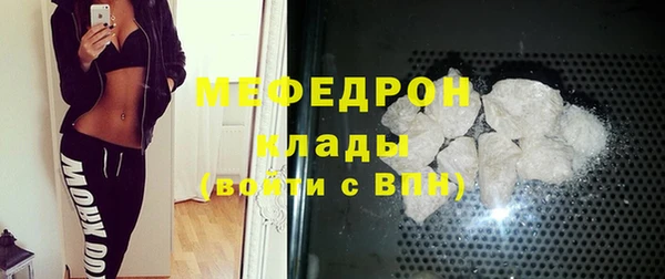 хмурый Ельня
