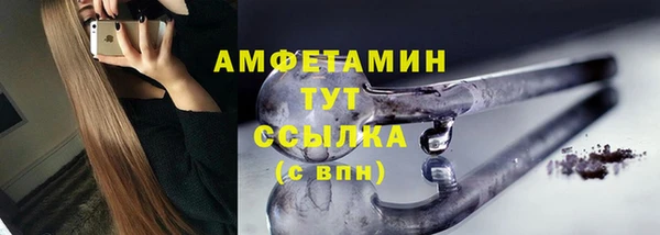 хмурый Ельня