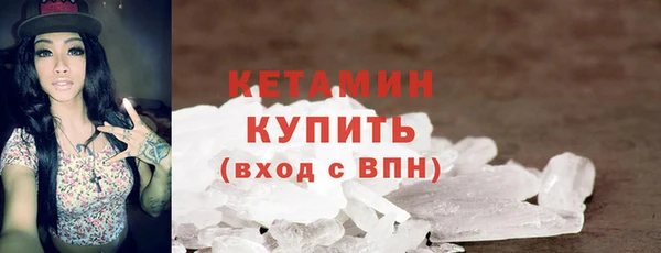 хмурый Ельня