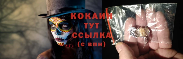 твердый Елизово