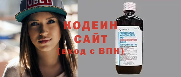 шишки Осташков