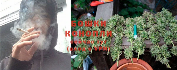 тгк Осинники