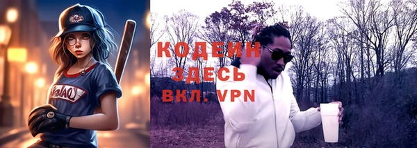 хмурый Ельня