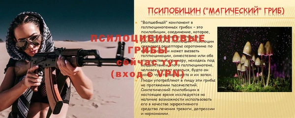 твердый Елизово