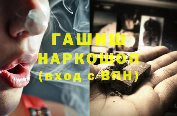 хмурый Ельня
