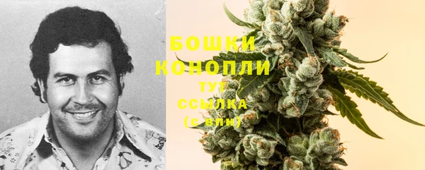 тгк Осинники