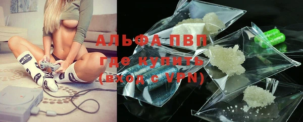 шишки Осташков