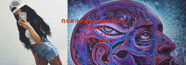 хмурый Ельня