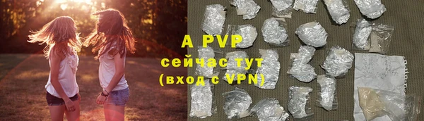 хмурый Ельня