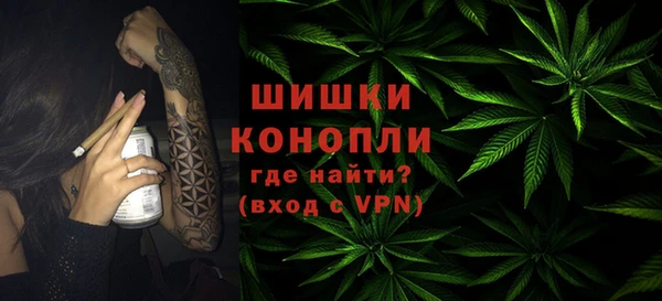 шишки Осташков