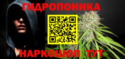 соль ск Лесосибирск