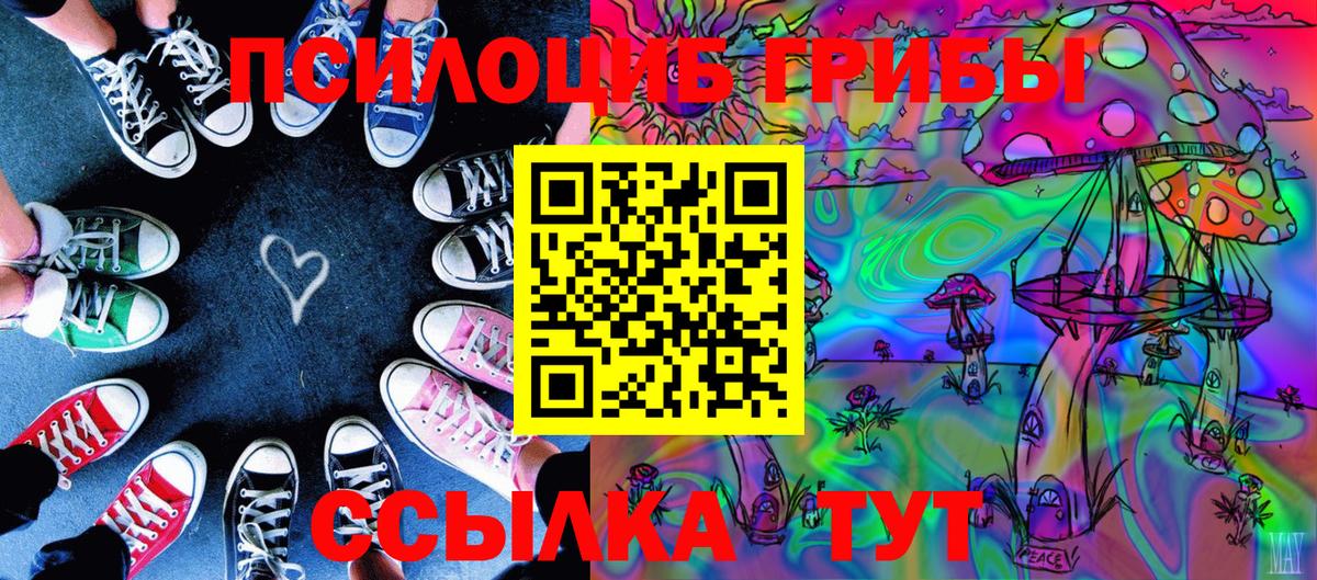 Соль-Илецк  Псилоцибиновые грибы GOLDEN TEACHER  Вход с VPN 
